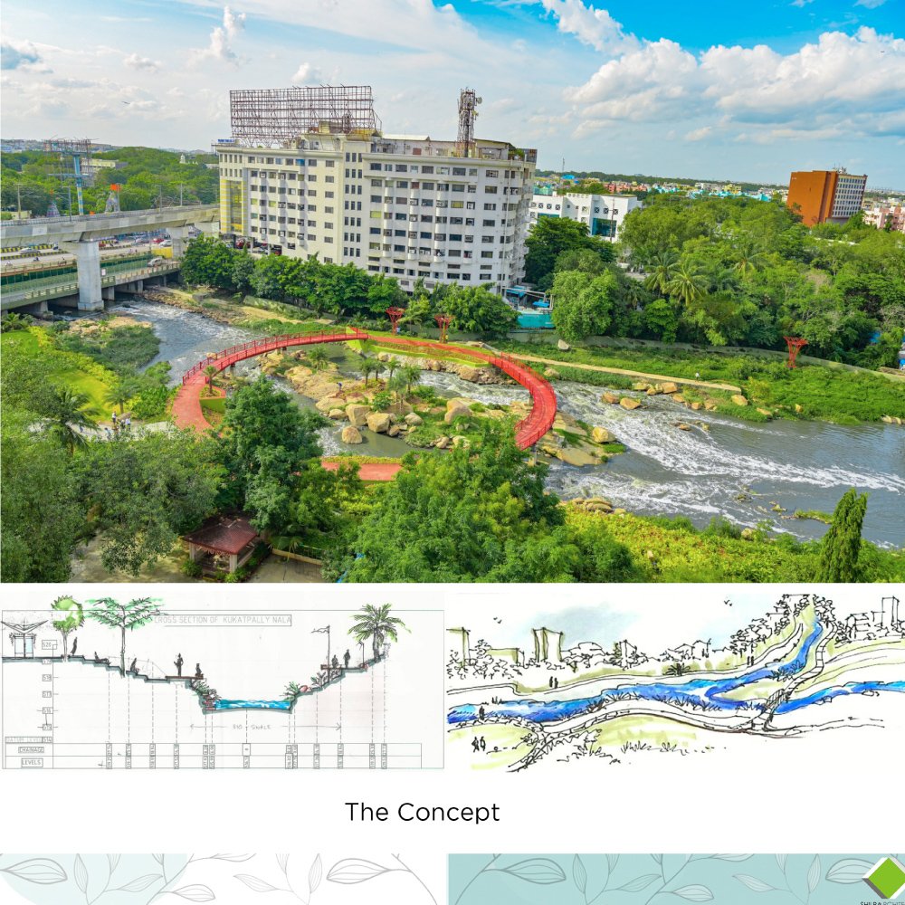 Rain Garden